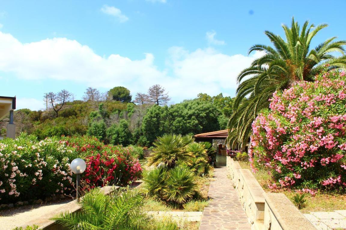 פורטו אזורו Residence Les Oliviers מראה חיצוני תמונה