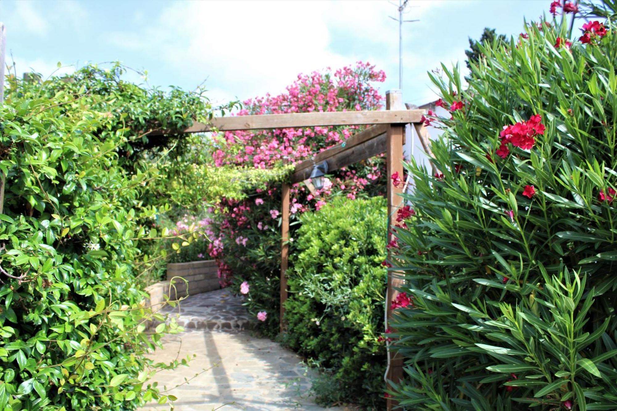 פורטו אזורו Residence Les Oliviers מראה חיצוני תמונה