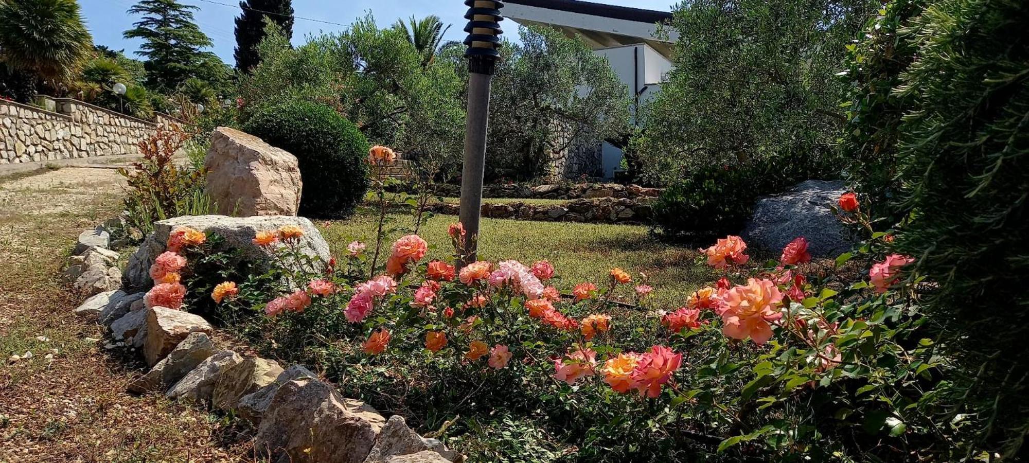 פורטו אזורו Residence Les Oliviers מראה חיצוני תמונה